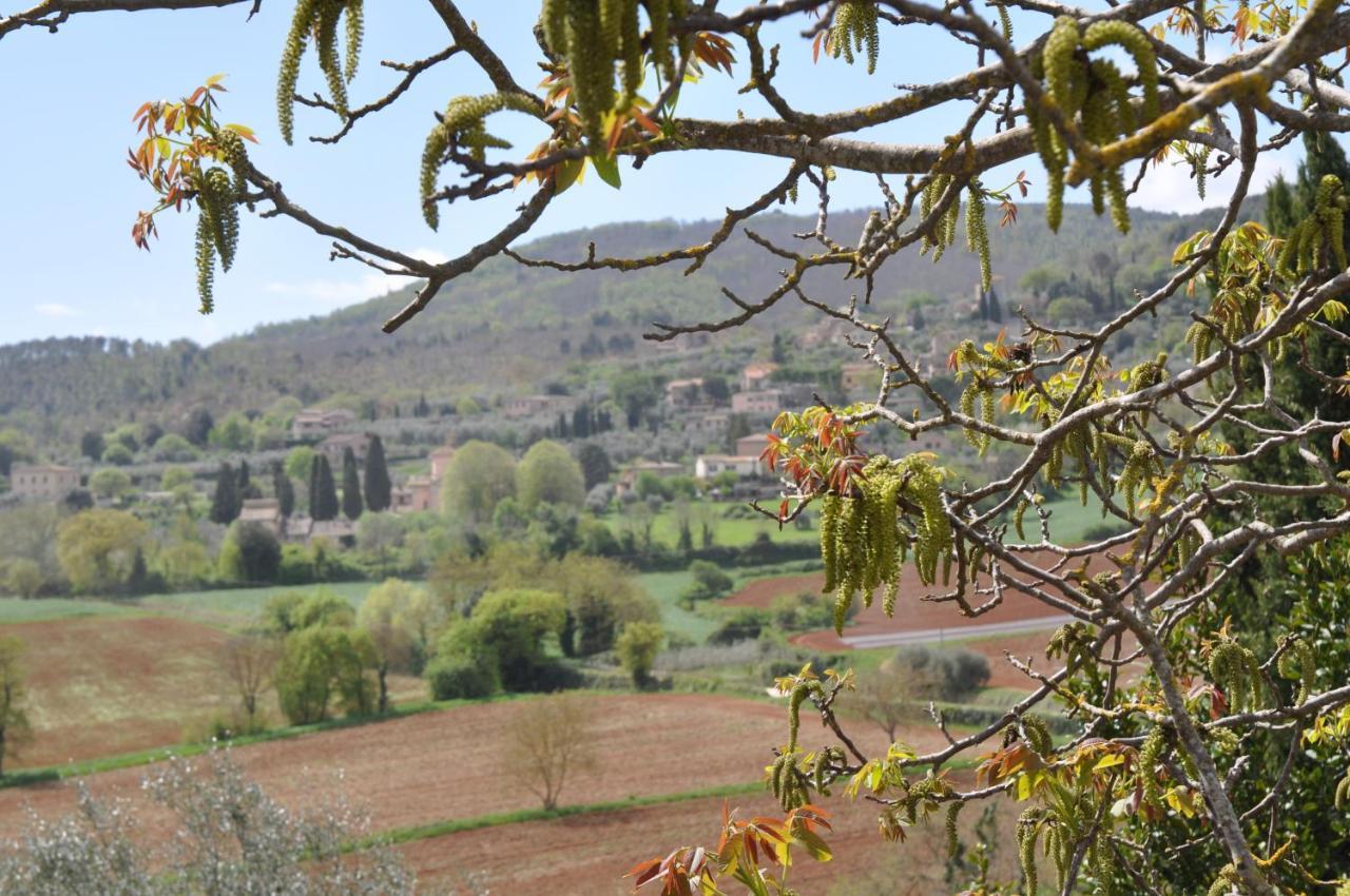 Il Pero Di Cetinale Villa Sovicille Kültér fotó