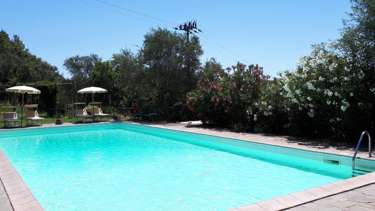 Il Pero Di Cetinale Villa Sovicille Kültér fotó