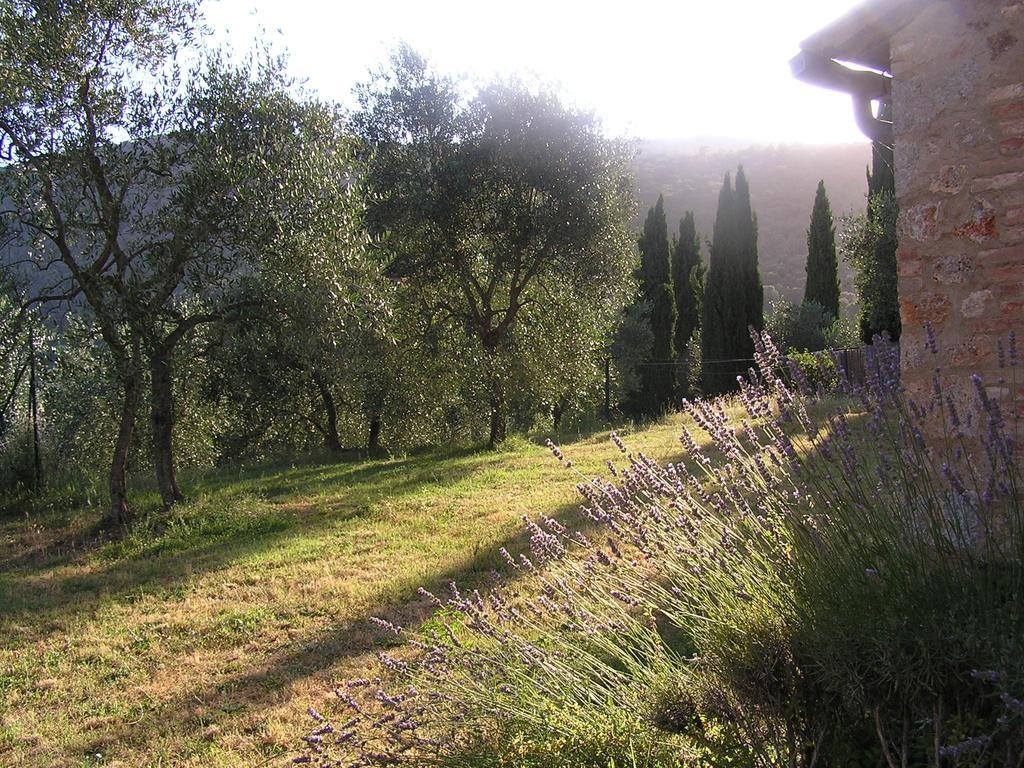 Il Pero Di Cetinale Villa Sovicille Kültér fotó